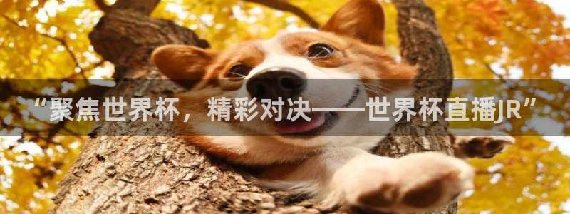 上海五星体育电台：“聚焦世界杯，精彩对决——世界杯直播JR”