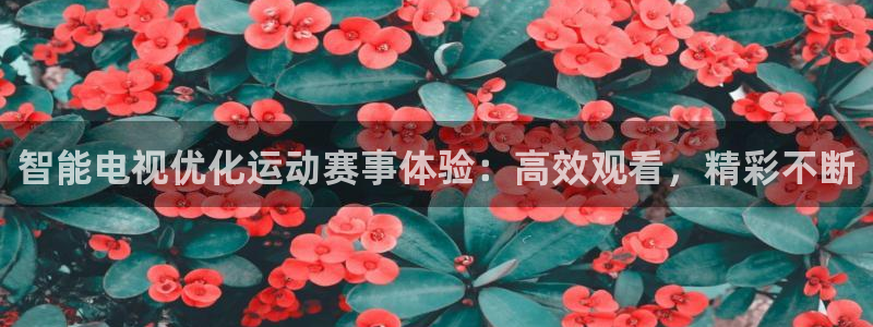 f1直播五星体育直播：智能电视优化运动赛事体验：高效观看，精彩不断