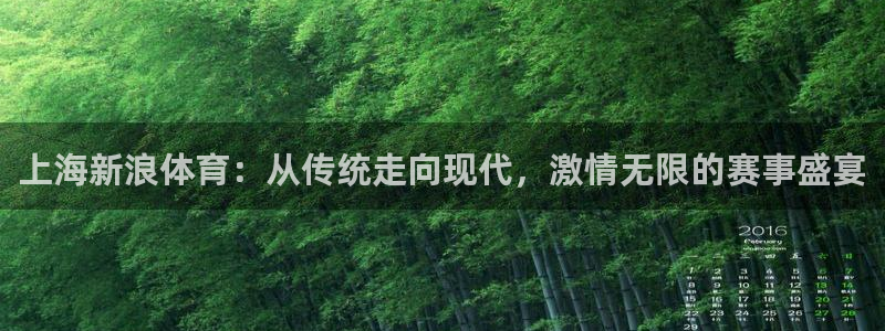 今日五星体育电视节目表：上海新浪体育：从传统走向现代，激情无限的赛事盛宴